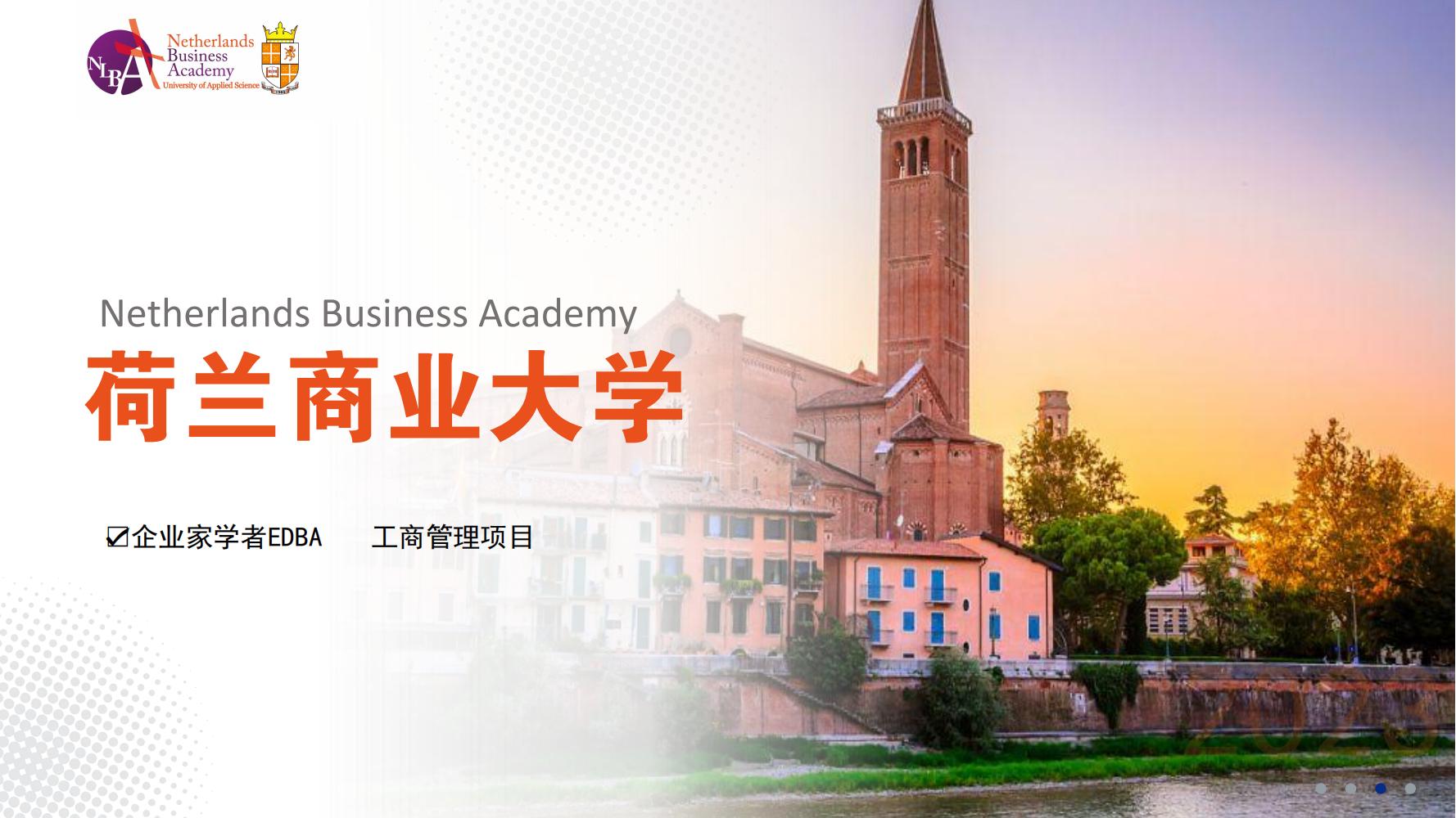  荷兰商业大学博士项目(图1)