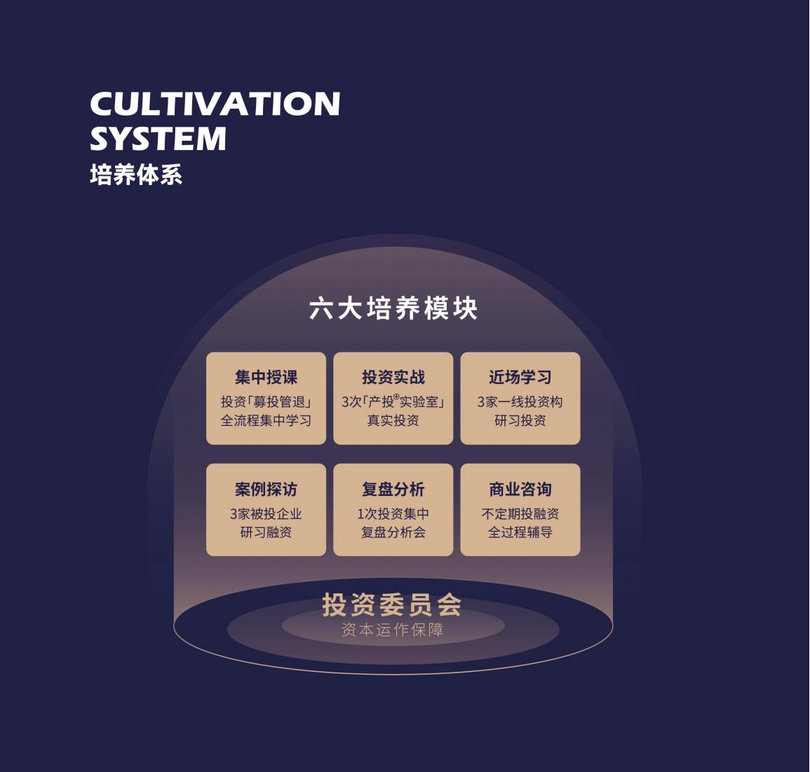 (图8)