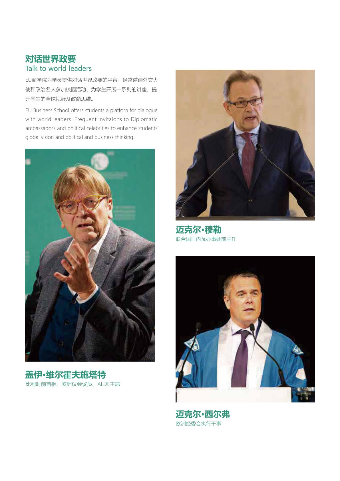 (图17)