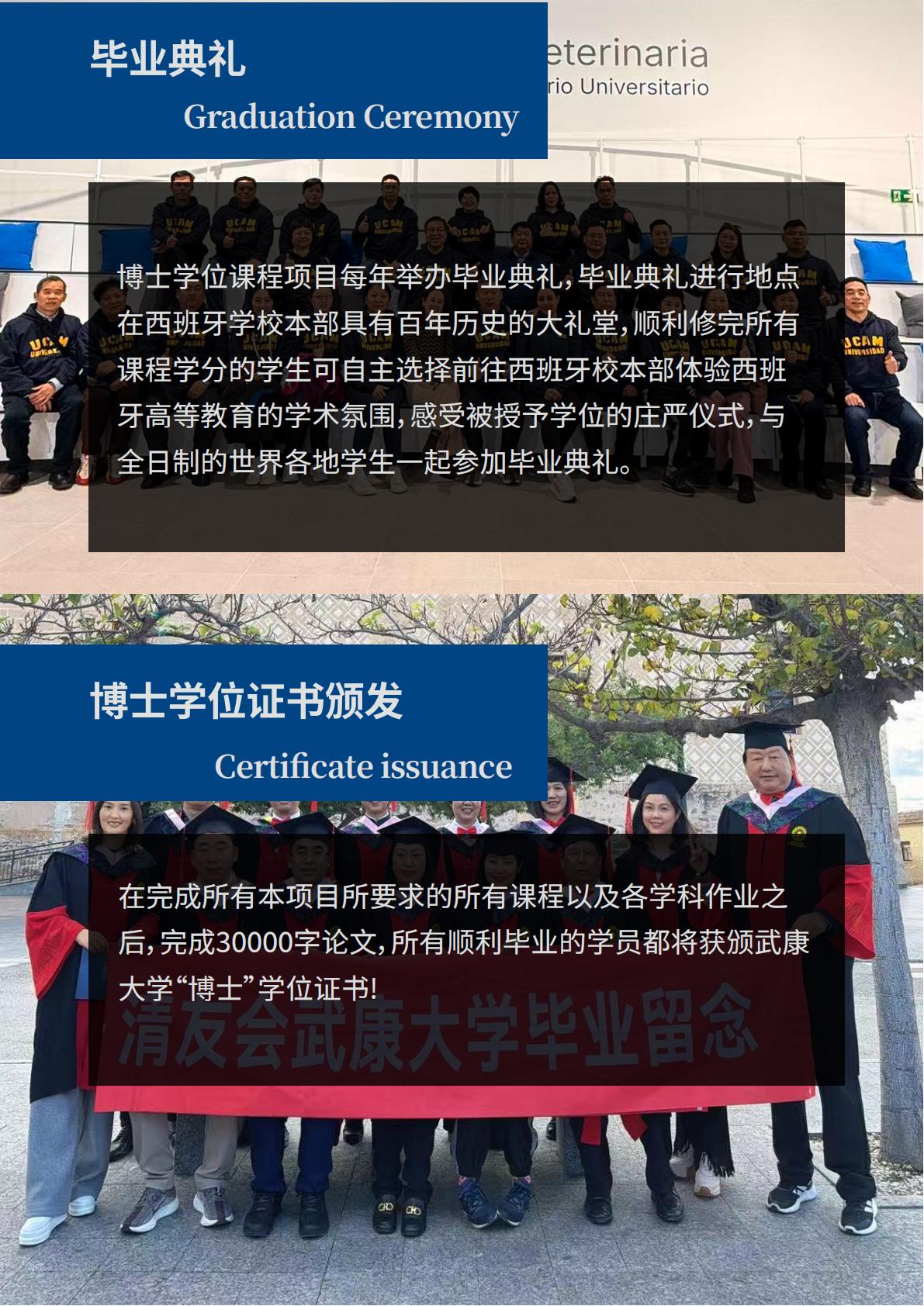 (图15)