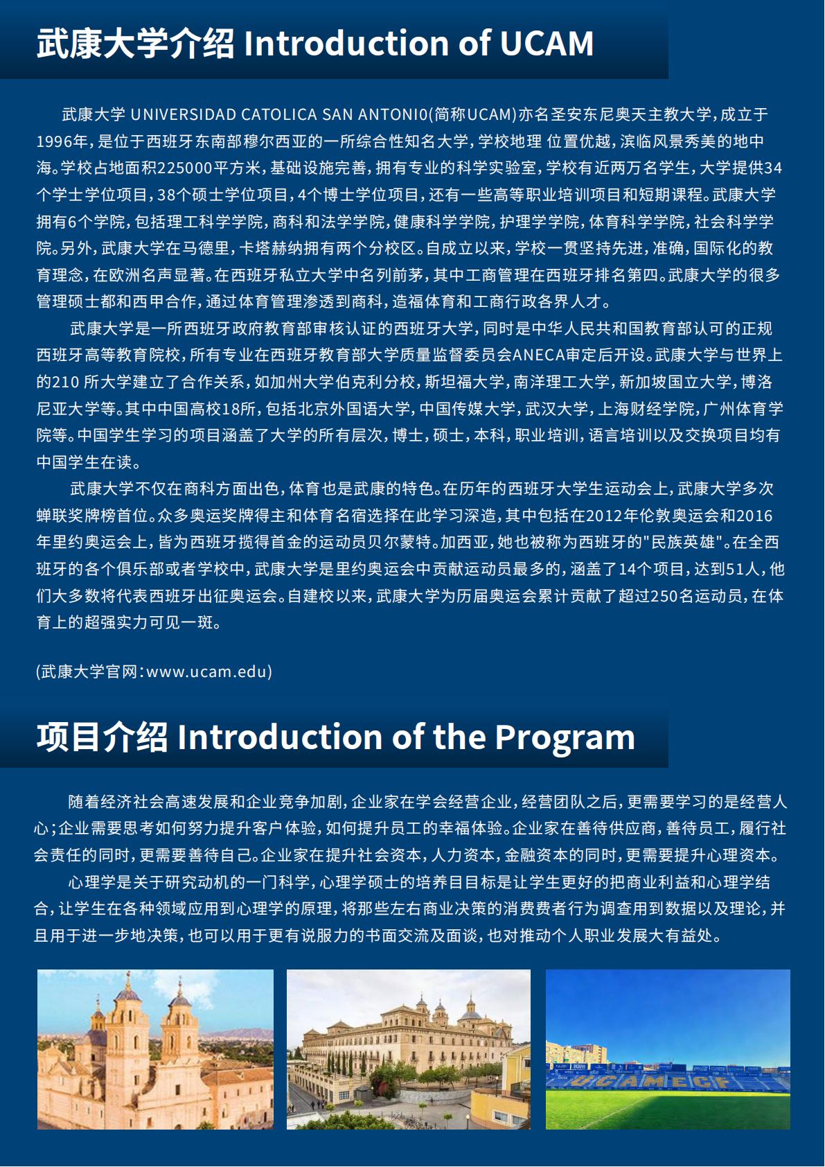 (图2)
